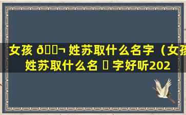 女孩 🐬 姓苏取什么名字（女孩姓苏取什么名 ☘ 字好听2023年）